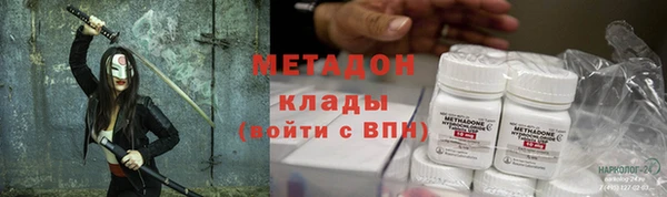 прущие грибы Аркадак