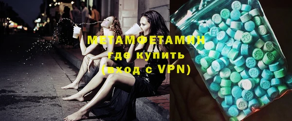 прущие грибы Аркадак